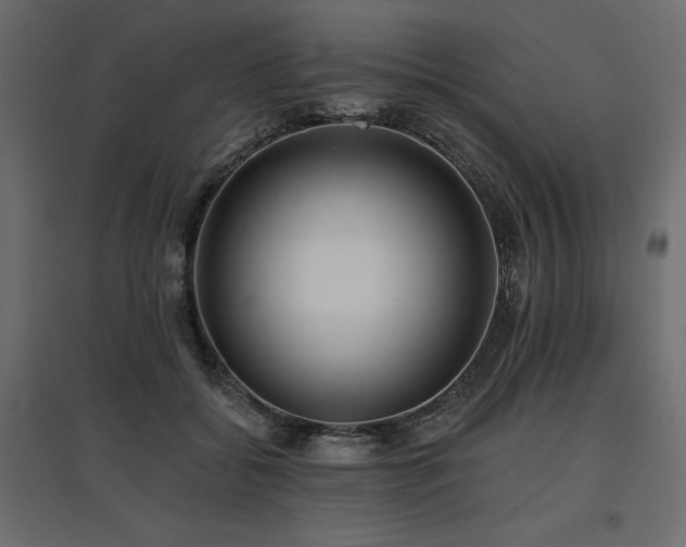 X0000097770556200803071320