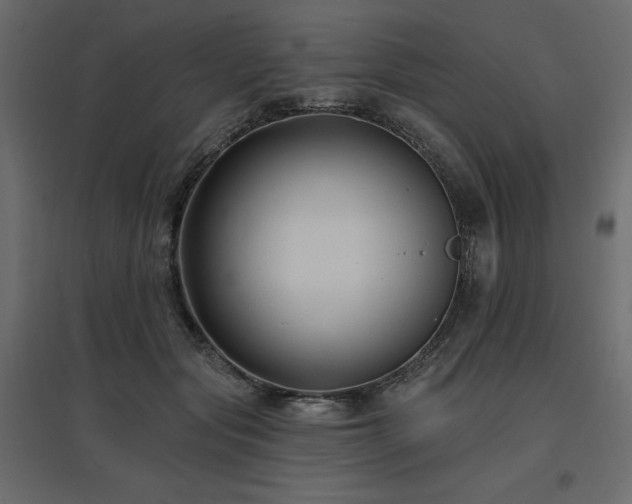 X0000097770557200803071320