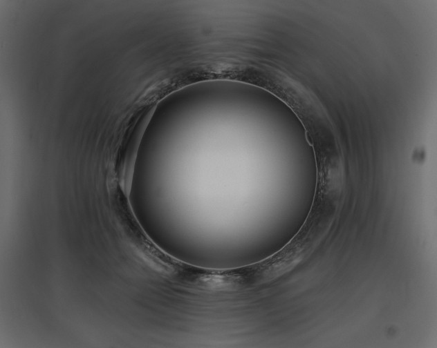 X0000097770558200803071320