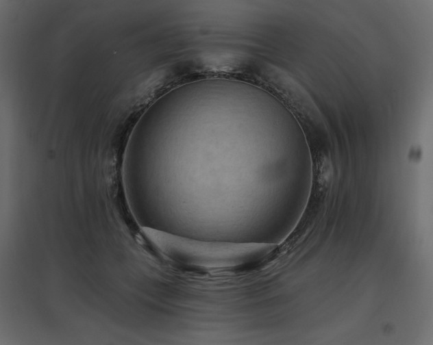 X0000097770559200803071320