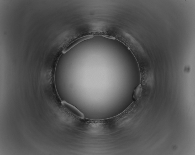 X0000097770560200803071320