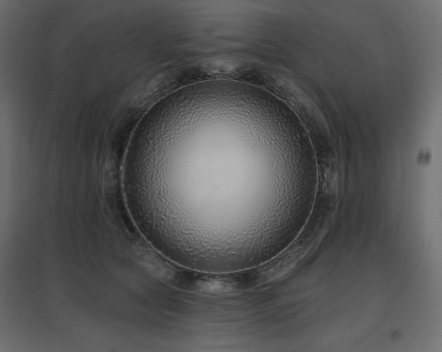 X0000097770561200803071320