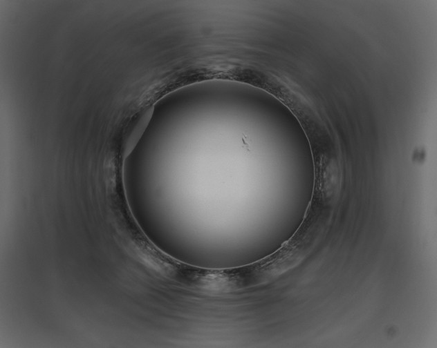 X0000097770562200803071320
