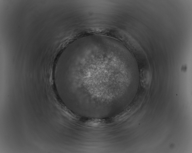 X0000097770563200803071320