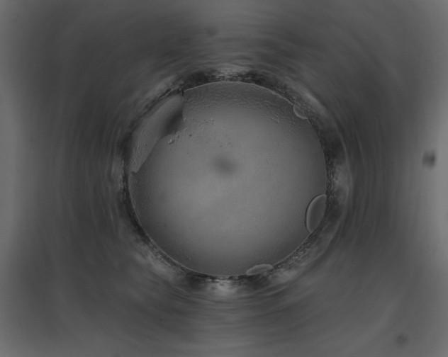 X0000097770565200803071320
