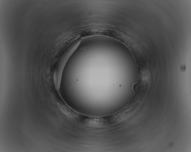 X0000097770567200803071320