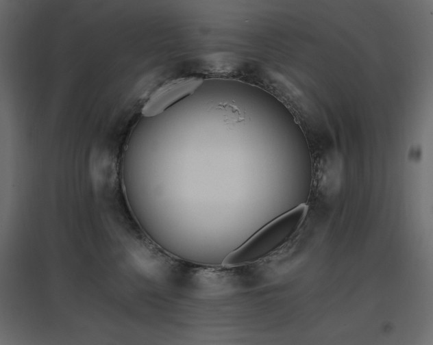 X0000097770568200803071320