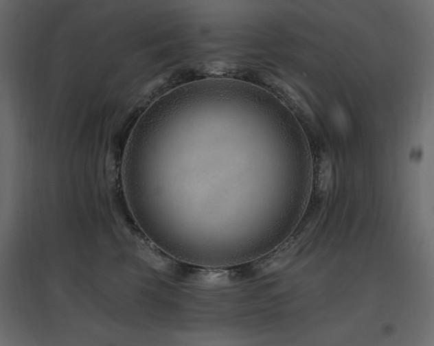 X0000097770569200803071320