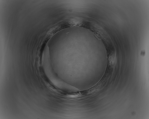 X0000097770570200803071320