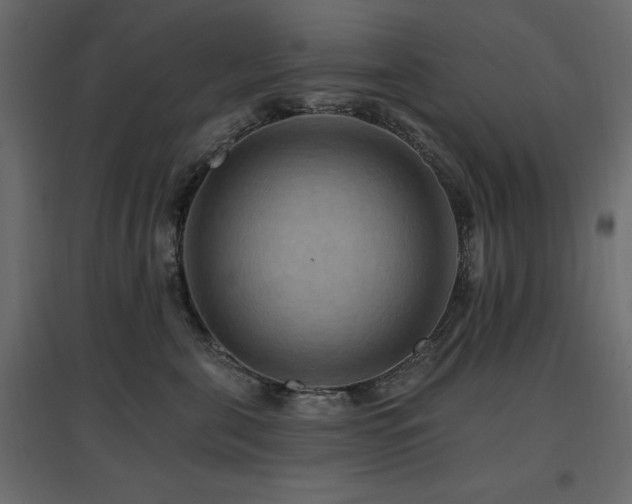 X0000097770571200803071320