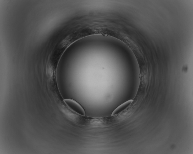 X0000097770574200803071320