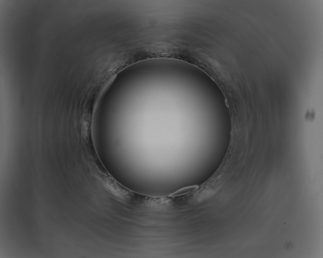 X0000097770576200803071320