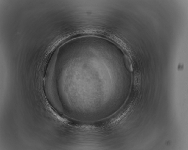 X0000097770577200803071319