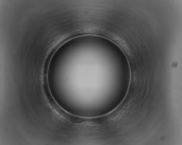 X0000097770578200803071319