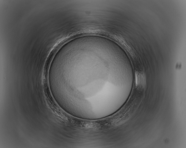 X0000097770579200803071319
