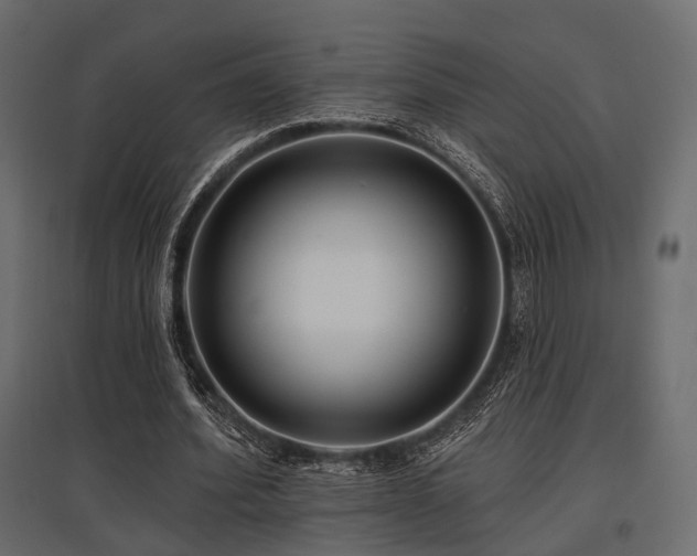 X0000097770580200803071319