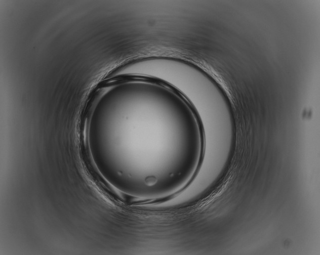 X0000097770581200803071319