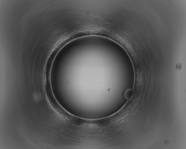 X0000097770582200803071319