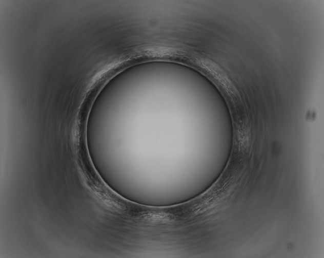 X0000097770583200803071319