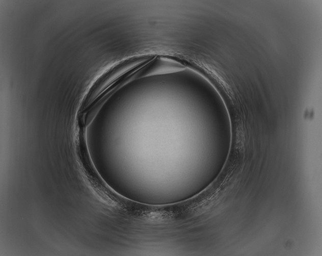X0000097770584200803071319