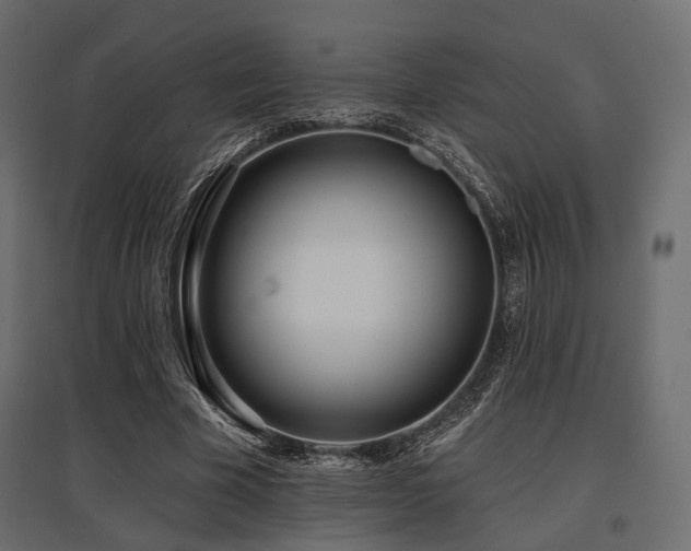 X0000097770585200803071319