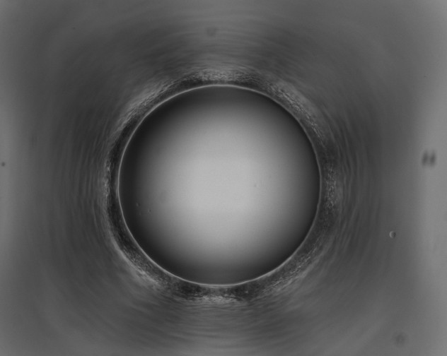 X0000097770586200803071319