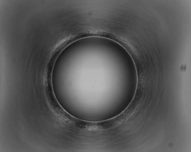 X0000097770587200803071319