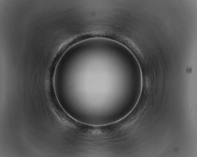 X0000097770588200803071319