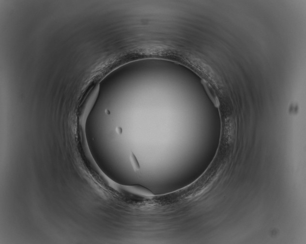 X0000097770589200803071319