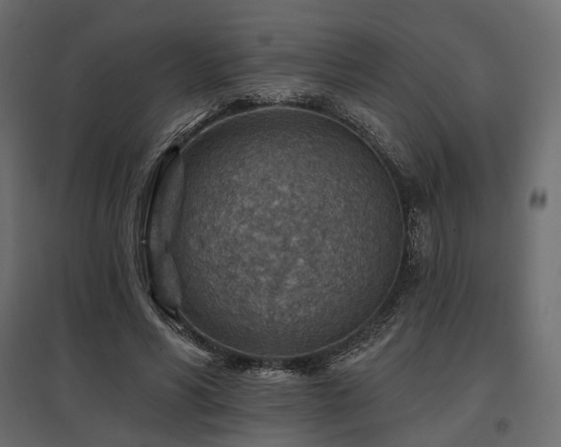 X0000097770590200803071319