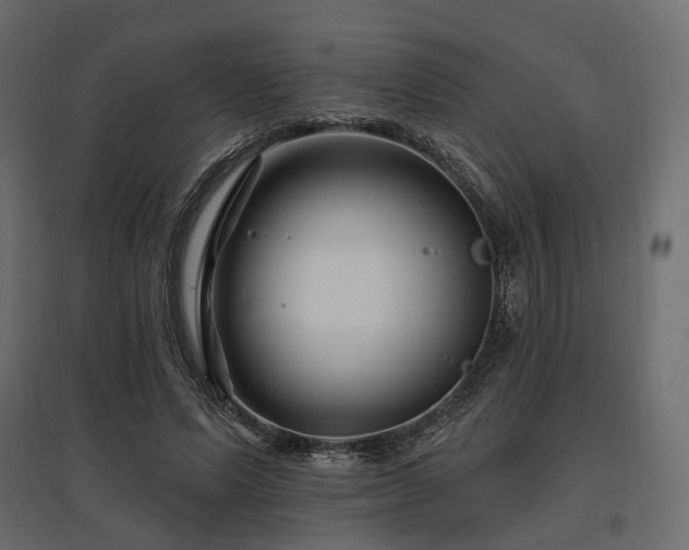 X0000097770591200803071319