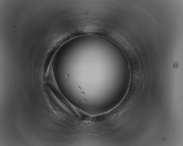X0000097770592200803071319