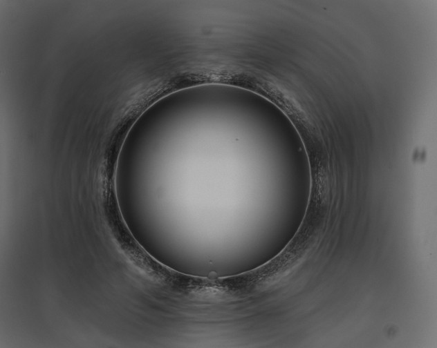 X0000097770594200803071319