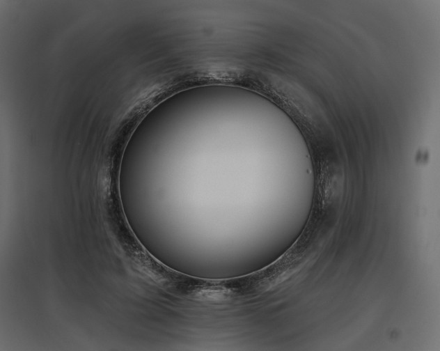 X0000097770595200803071319