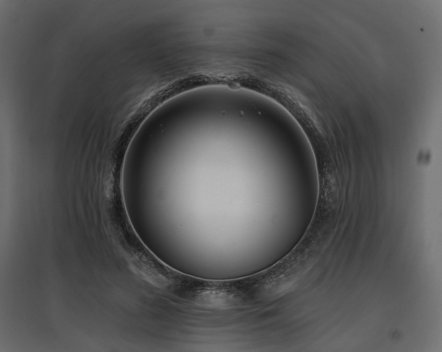 X0000097770596200803071319