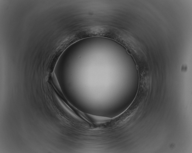 X0000097770597200803071319