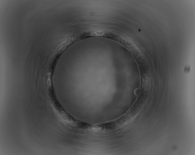 X0000097770598200803071319