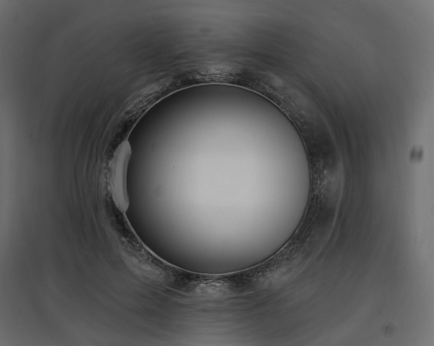 X0000097770599200803071319