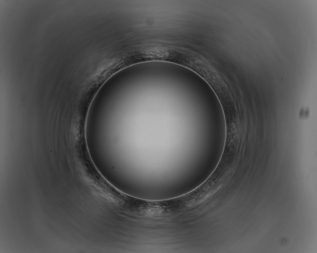 X0000097770600200803071319