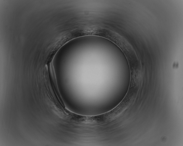 X0000097770601200803071319