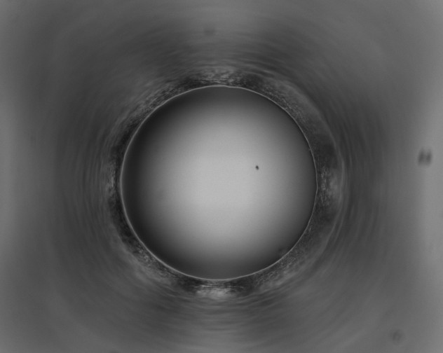 X0000097770602200803071319