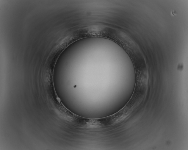 X0000097770603200803071319