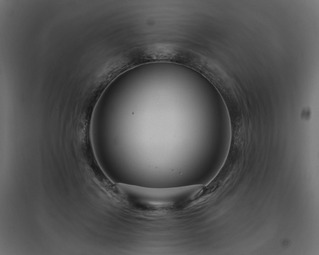 X0000097770604200803071319