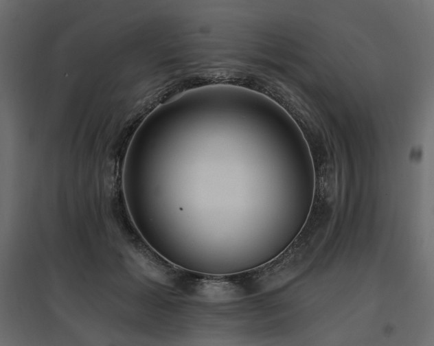 X0000097770605200803071319