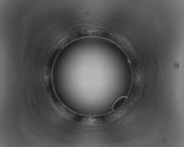 X0000097770607200803071319