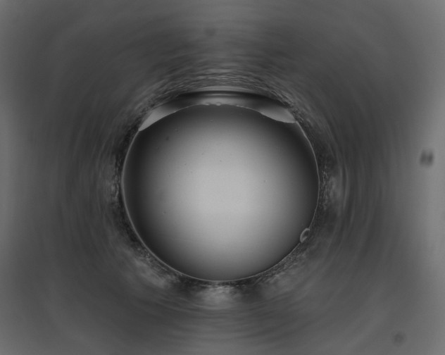 X0000097770609200803071319