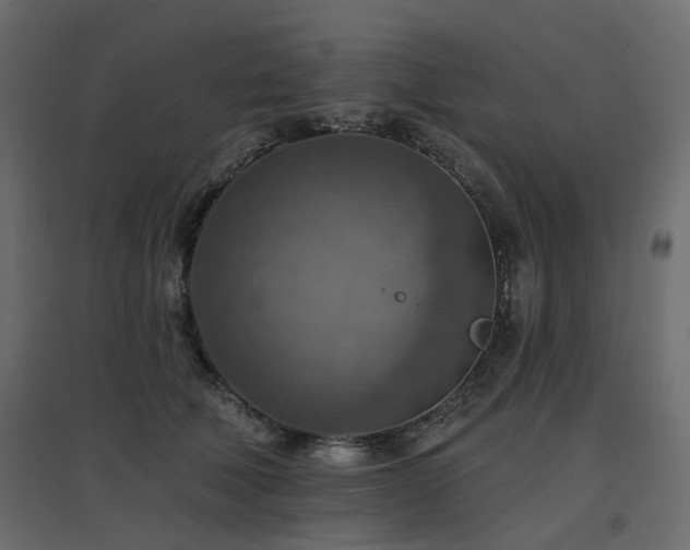 X0000097770610200803071319
