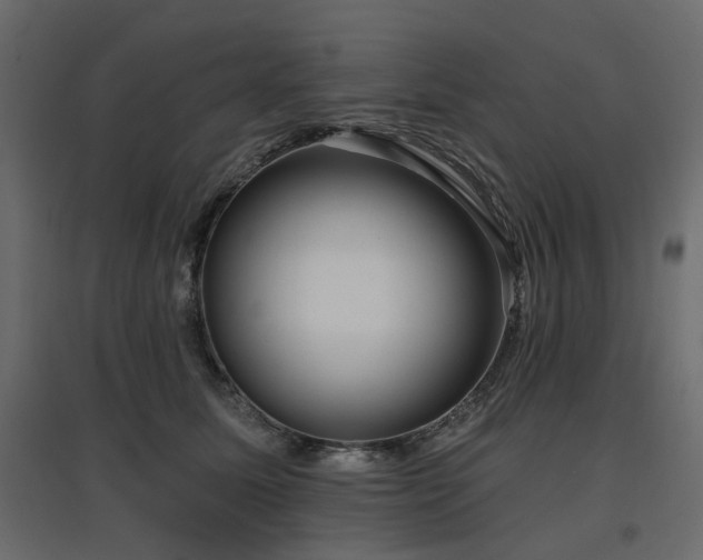 X0000097770611200803071319