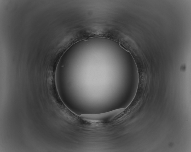 X0000097770612200803071319