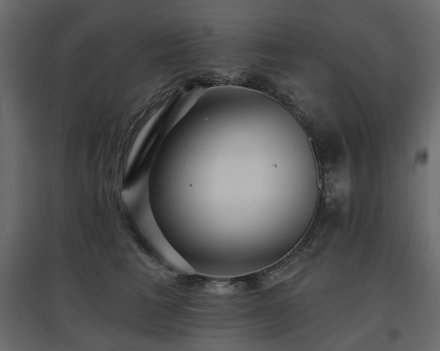 X0000097770613200803071319